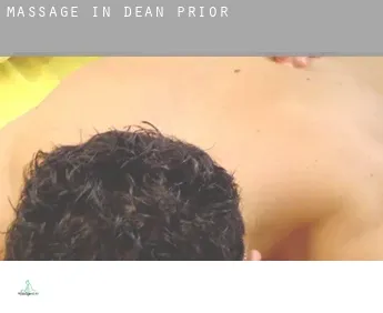 Massage in  Dean Prior