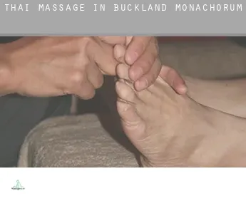 Thai massage in  Buckland Monachorum