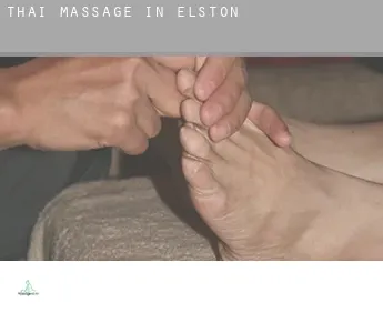 Thai massage in  Elston