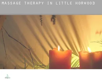 Massage therapy in  Little Horwood