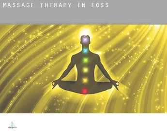 Massage therapy in  Foss