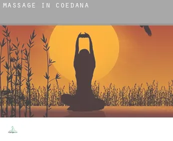 Massage in  Coedana