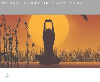 Massage school in  Rhydycroesau