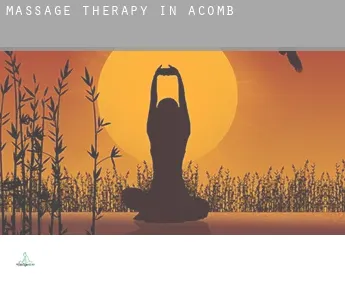 Massage therapy in  Acomb