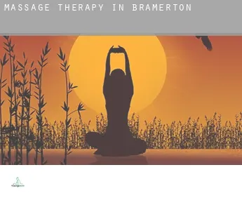 Massage therapy in  Bramerton