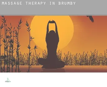 Massage therapy in  Brumby