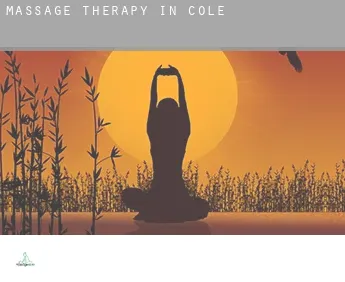 Massage therapy in  Cole