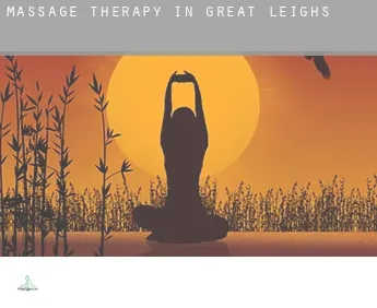 Massage therapy in  Great Leighs