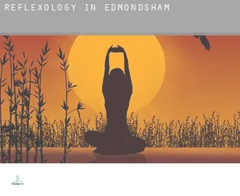 Reflexology in  Edmondsham