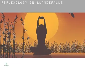 Reflexology in  Llandefalle