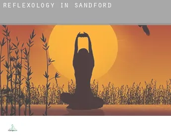 Reflexology in  Sandford