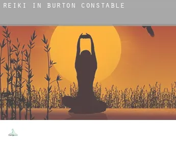 Reiki in  Burton Constable