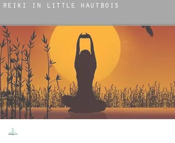 Reiki in  Little Hautbois