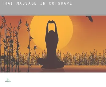 Thai massage in  Cotgrave