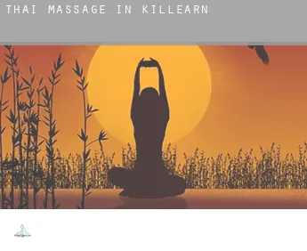Thai massage in  Killearn
