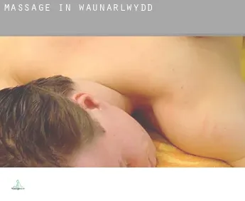 Massage in  Waunarlwydd