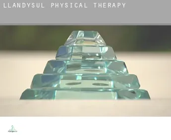 Llandysul  physical therapy