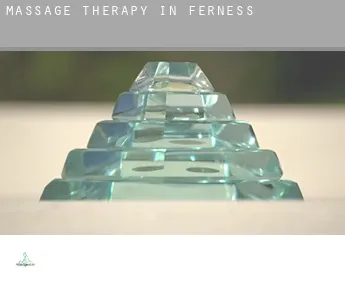 Massage therapy in  Ferness