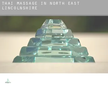 Thai massage in  North East Lincolnshire