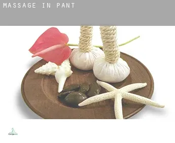 Massage in  Pant