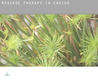 Massage therapy in  Craigo