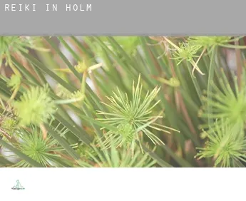 Reiki in  Holm