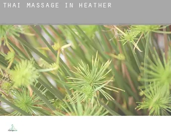 Thai massage in  Heather