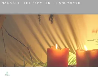 Massage therapy in  Llangynwyd