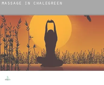 Massage in  Chalegreen