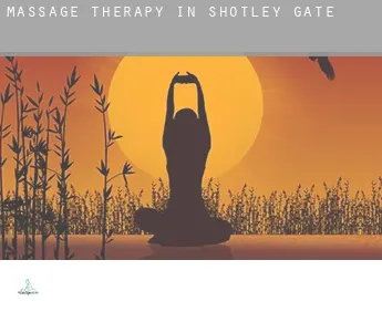 Massage therapy in  Shotley Gate