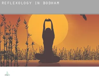 Reflexology in  Bodham