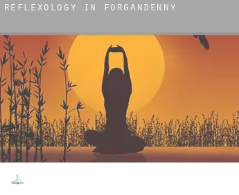 Reflexology in  Forgandenny