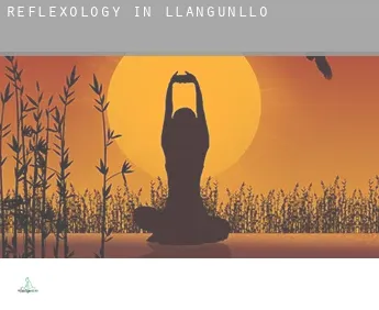 Reflexology in  Llangunllo