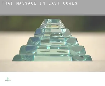 Thai massage in  East Cowes