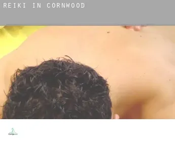 Reiki in  Cornwood