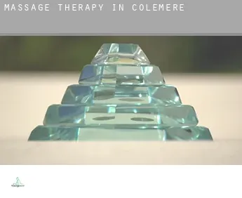 Massage therapy in  Colemere