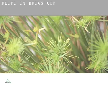 Reiki in  Brigstock