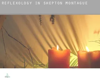 Reflexology in  Shepton Montague