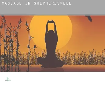 Massage in  Shepherdswell