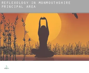 Reflexology in  Monmouthshire principal area