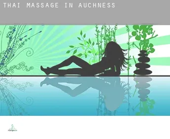 Thai massage in  Auchness