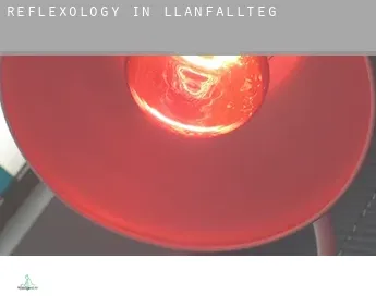 Reflexology in  Llanfallteg