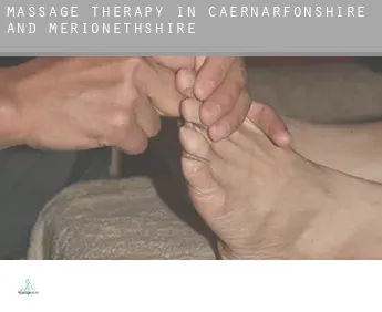 Massage therapy in  Caernarfonshire and Merionethshire