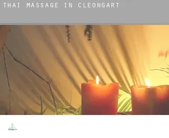 Thai massage in  Cleongart