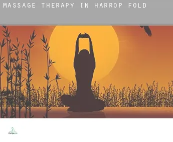 Massage therapy in  Harrop Fold