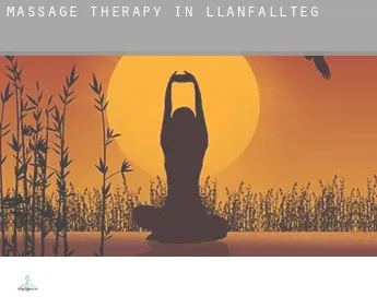 Massage therapy in  Llanfallteg