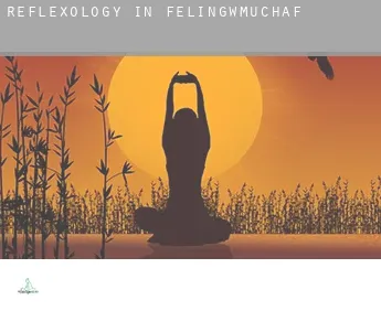 Reflexology in  Felingwmuchaf