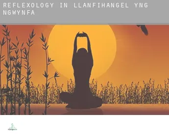 Reflexology in  Llanfihangel-yng-Ngwynfa