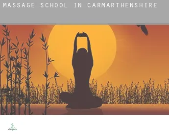 Massage school in  of Carmarthenshire