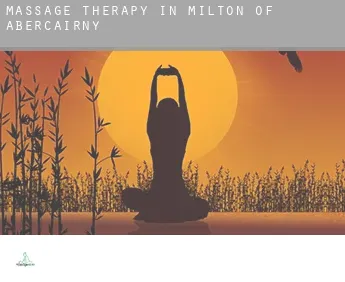 Massage therapy in  Milton of Abercairny